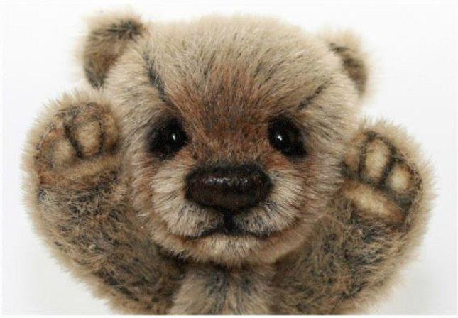 Bear Pediatric PLLC