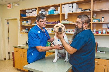 Animal Hospital of Westover Hills