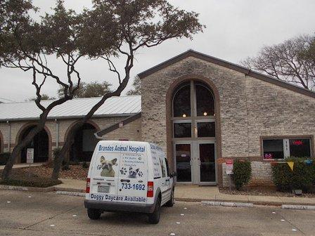 Brandos Animal Hospital