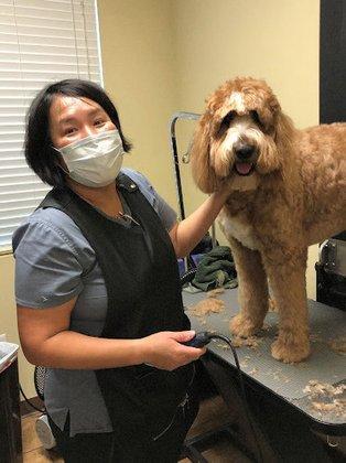 Cibolo Canyons Veterinary Hospital