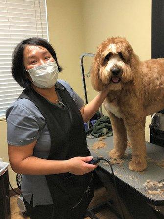 Cibolo Canyons Veterinary Hospital