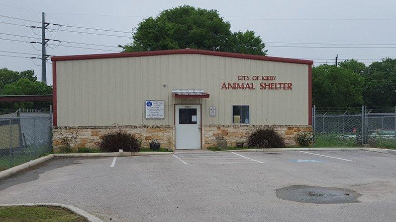 Kirby Animal Services