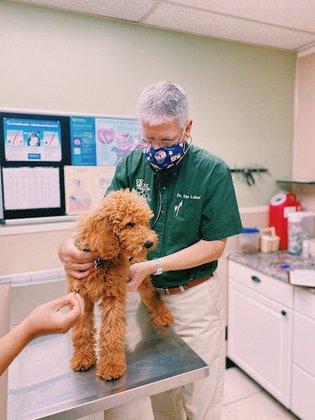 Pet Vaccination Clinic