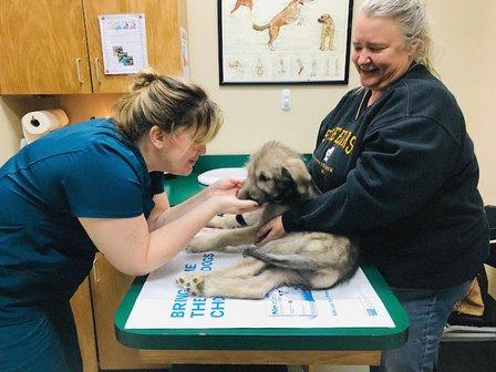 Potranco Veterinary Clinic