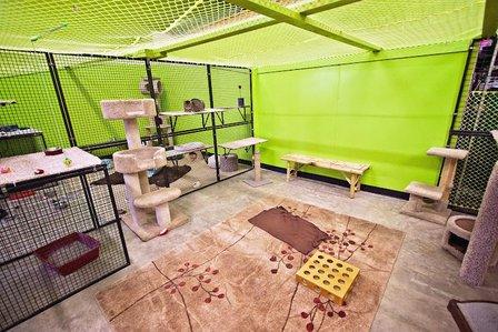 San Antonio Pets Alive! Medical Clinic