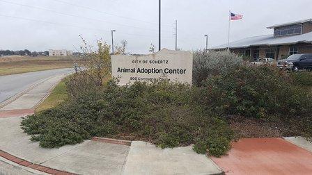 Schertz Animal Adoption Center