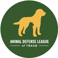 Animal Defense League of Texas Paul Jolly Center for Pet Adoptions