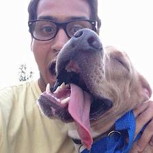 San Antonio Pets Alive! Petco Foundation Adoption Center