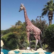Embassy Miniature Golf