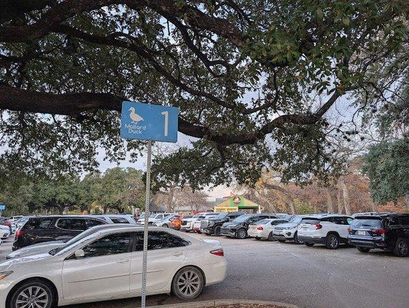 Public Parking