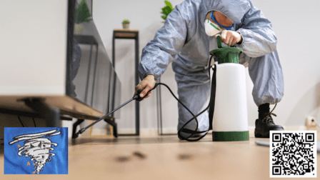 Tornado Pest Control And Pressure Washing Solutions LLC