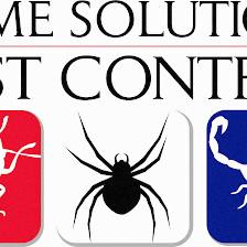 HOME SOLUTIONS: PEST CONTROL