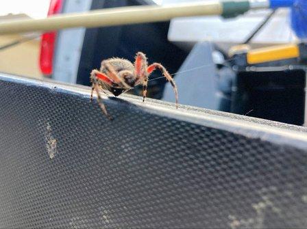Nappkn Pest and Home Services