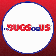 It's Bugs Or Us Pest Control - San Antonio
