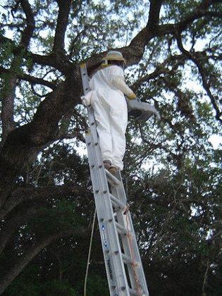 Mister-B Pest Control
