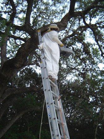 Mister-B Pest Control
