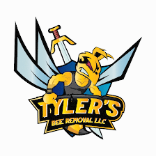 Tyler's Austin Bee Removal