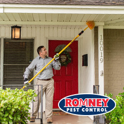 Romney Pest Control