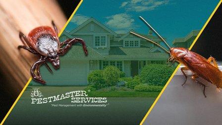 Pestmaster Services, San Antonio, Texas
