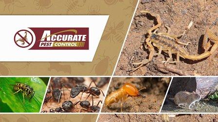 Accurate Pest Control