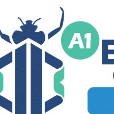 A1 Bed Bug Exterminator