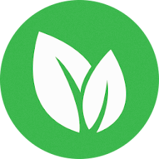 Romex Pest & Termite Control San Antonio