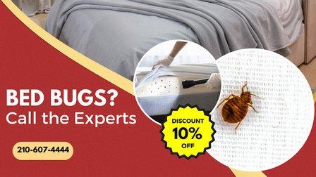 Bed Bug Busters TX