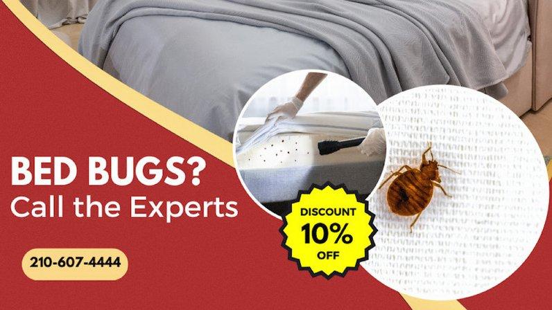 Bed Bug Busters TX