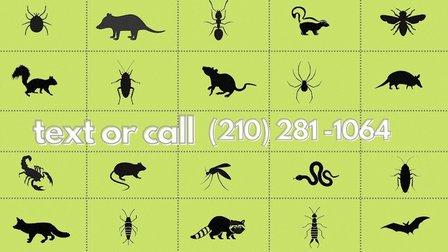 Pest Trappers