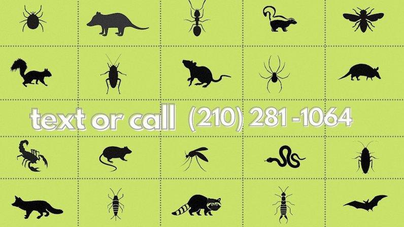 Pest Trappers