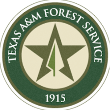 Texas A&M Forest Service