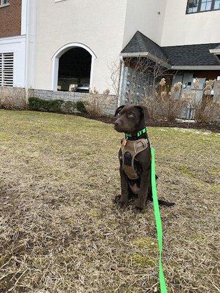 Cressie Animal Refuge and Enrichment (CARE)