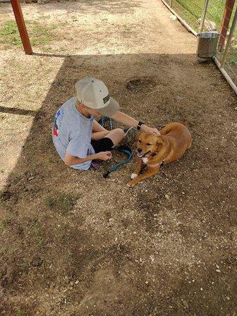 Bulverde Humane Society