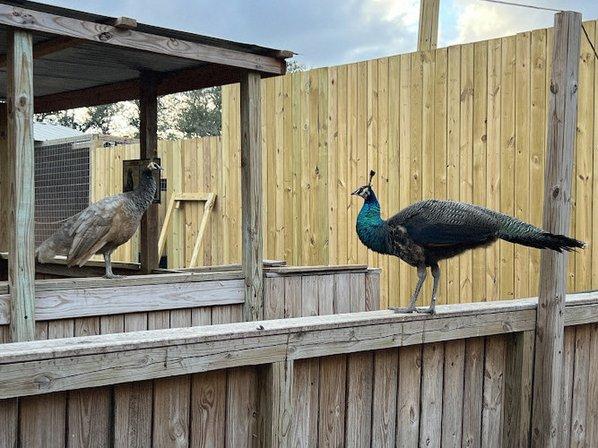 Texas Wildlife Park and Education Center