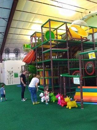 Jungle Jam Party and Play