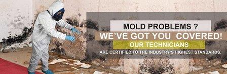 Mold Inspection Doctor Alamo Heights