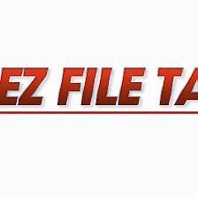 EZ File Tax