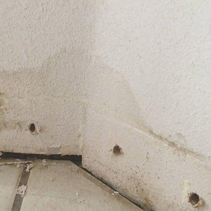 Mold Inspection Doctor New Braunfels