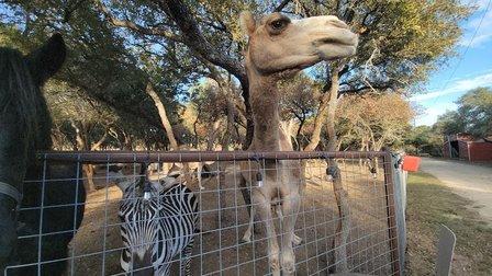 We Care Wildlife Sanctuary