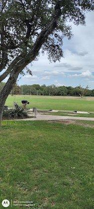 Bushwood C C