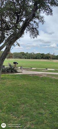 Bushwood C C