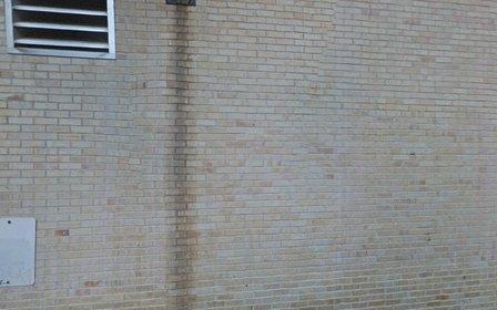 parkingmgt.com