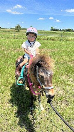 Wildspirit Ranch and Mobile Petting Zoo