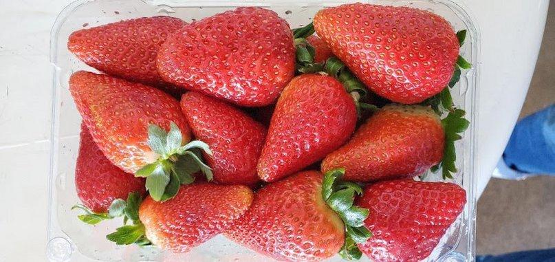 Rogers & Sons Produce Inc.