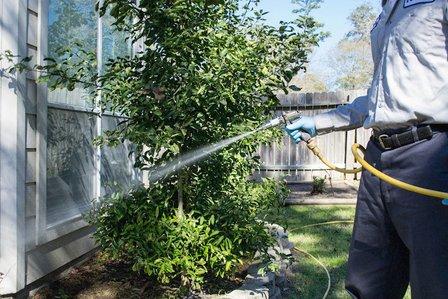 Reliant Pest Management