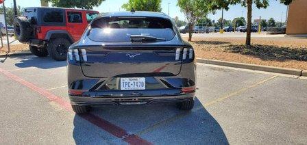 Avis Car Rental