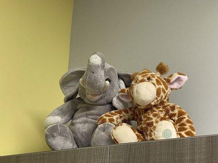 Kinder Haus Pediatrics
