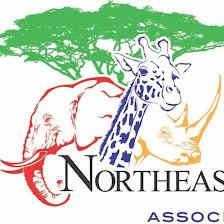 Northeast Pediatric Associates PA
