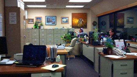 24/7 Bail Bonds