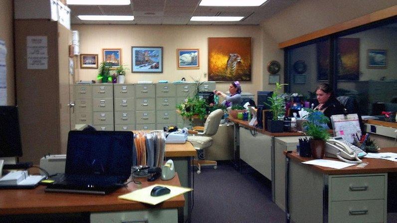 24/7 Bail Bonds